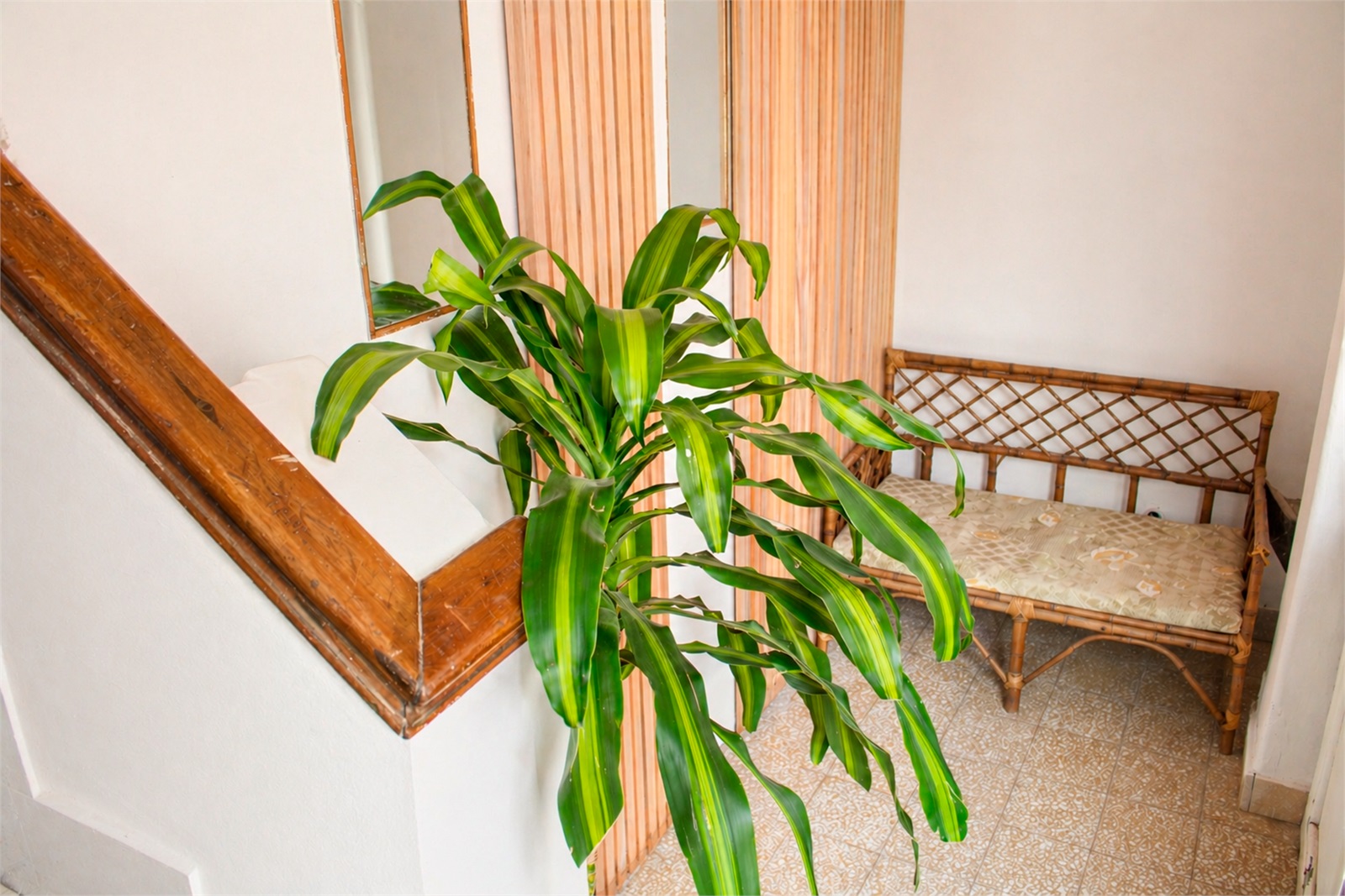 Espacio común interior de la residencia EL SEMILLERO